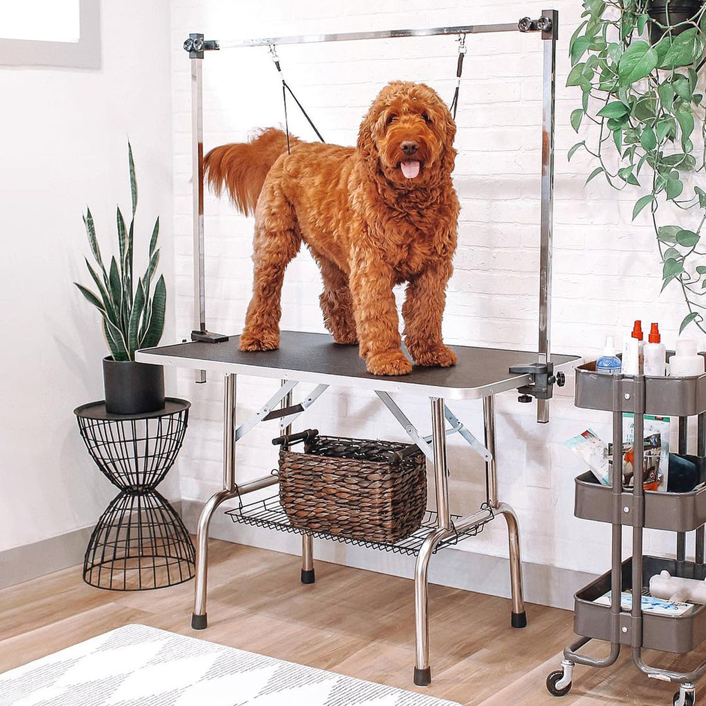 PawHut Dog Grooming Table Adjustable Height 107x60x170cm Black