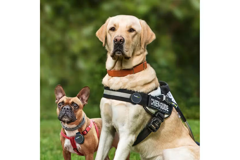 Pet Gps Collar TrackiPet  4G Dog Tracker