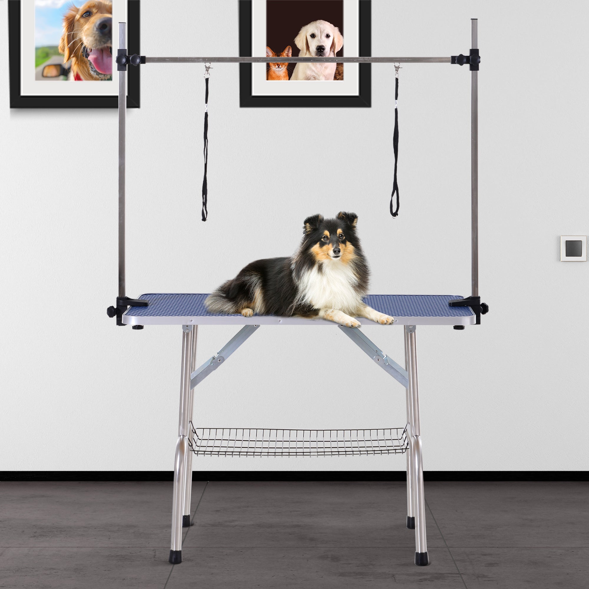 PawHut Foldable Dog Grooming Table with Adjustable Arm 107x60x170cm Blue